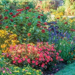 Meet your Posher, Louise